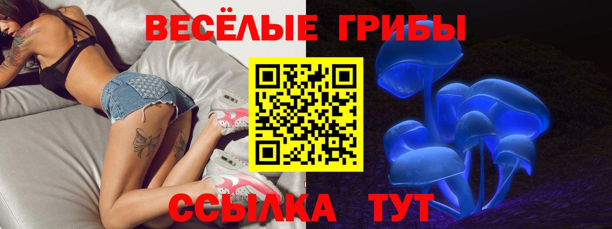 Псилоцибиновые грибы Psilocybe Вятские Поляны